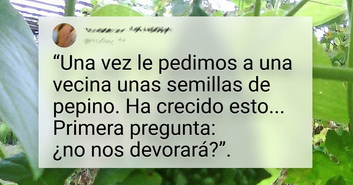 13 Vecinos cuyo comportamiento es tan impredecible como los policiales de Agatha Christie