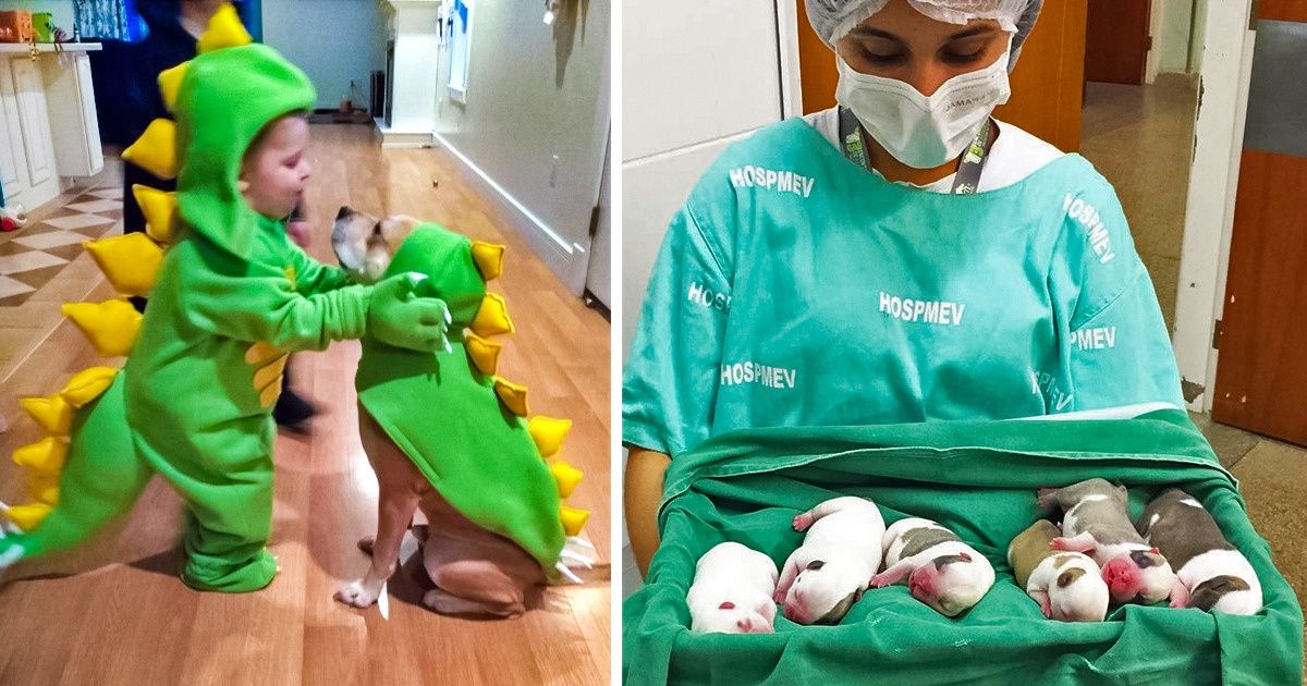 20+ Fotos que son demasiado buenas para no compartir