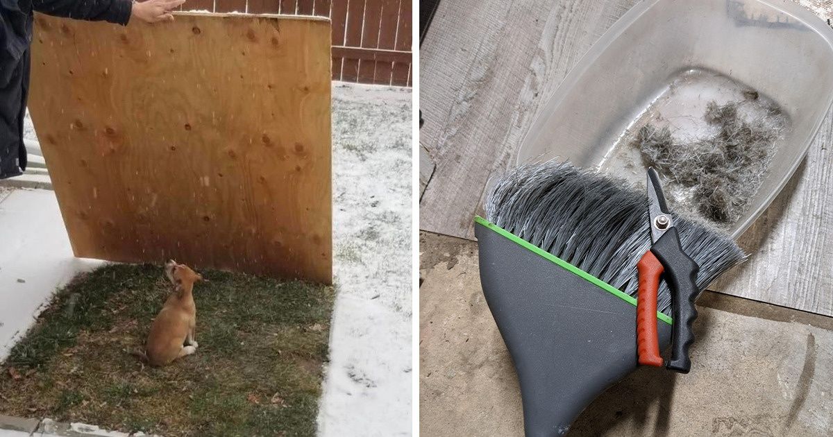 15 Usuarios que encontraron ingeniosas soluciones a problemas domésticos