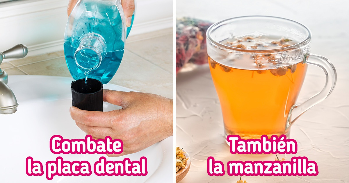 10 Usos de la manzanilla que prueban que mantener esta hierba en casa puede ser una idea genial