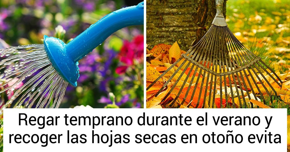 8 Consejos para cuidar el jardín según la temporada del año