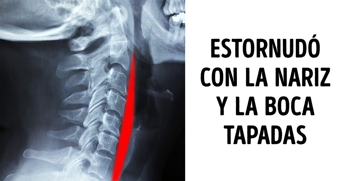20 Fotos tomadas por personas que podrían hacer interesantes hasta los libros de ciencia