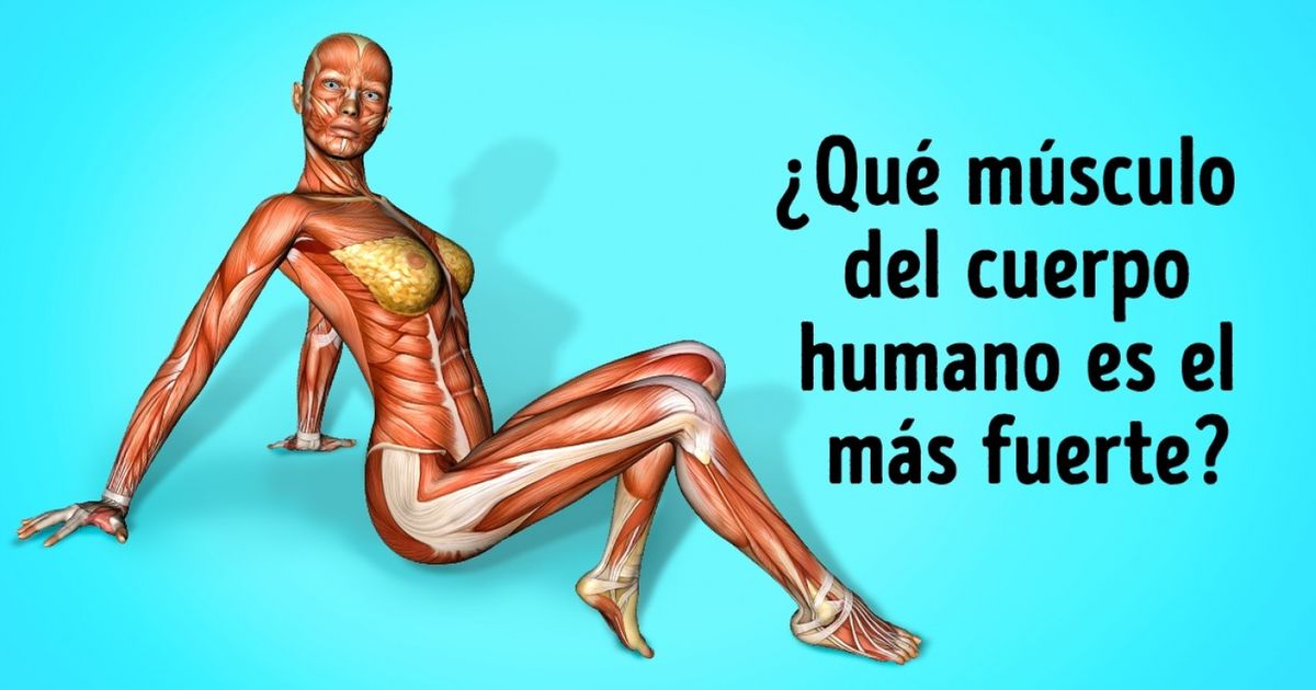 16 Preguntas que pueden ser resueltas fácilmente por alumnos de primaria, ¿y tú podrás?