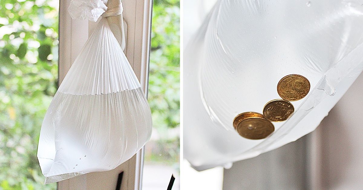 Cómo protegerse de los mosquitos sin dañar tu salud y qué hacer si aún así te picaron Cómo protegerse de los mosquitos sin dañar tu salud y qué hacer si aún así te picaron