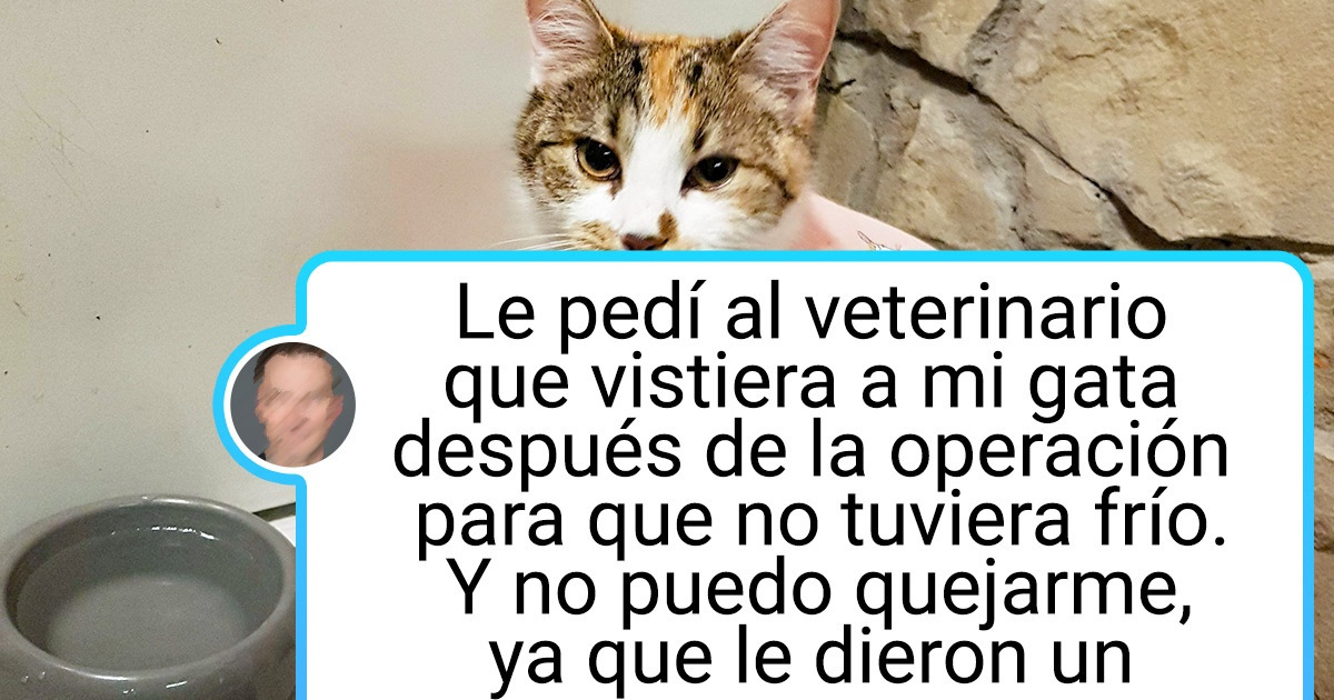 19 Fotos que prueban que en el trabajo de un veterinario, no hay lugar para el aburrimiento