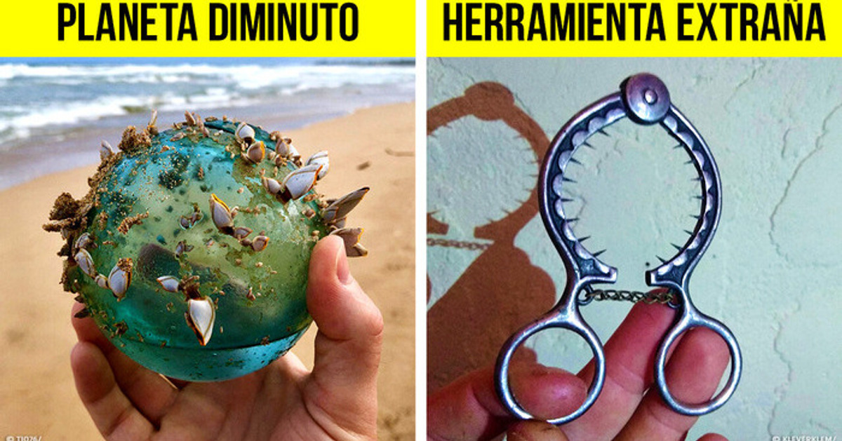 Estas personas simplemente no pudieron resistirse a compartir sus hallazgos asombrosos Estas personas simplemente no pudieron resistirse a compartir sus hallazgos asombrosos