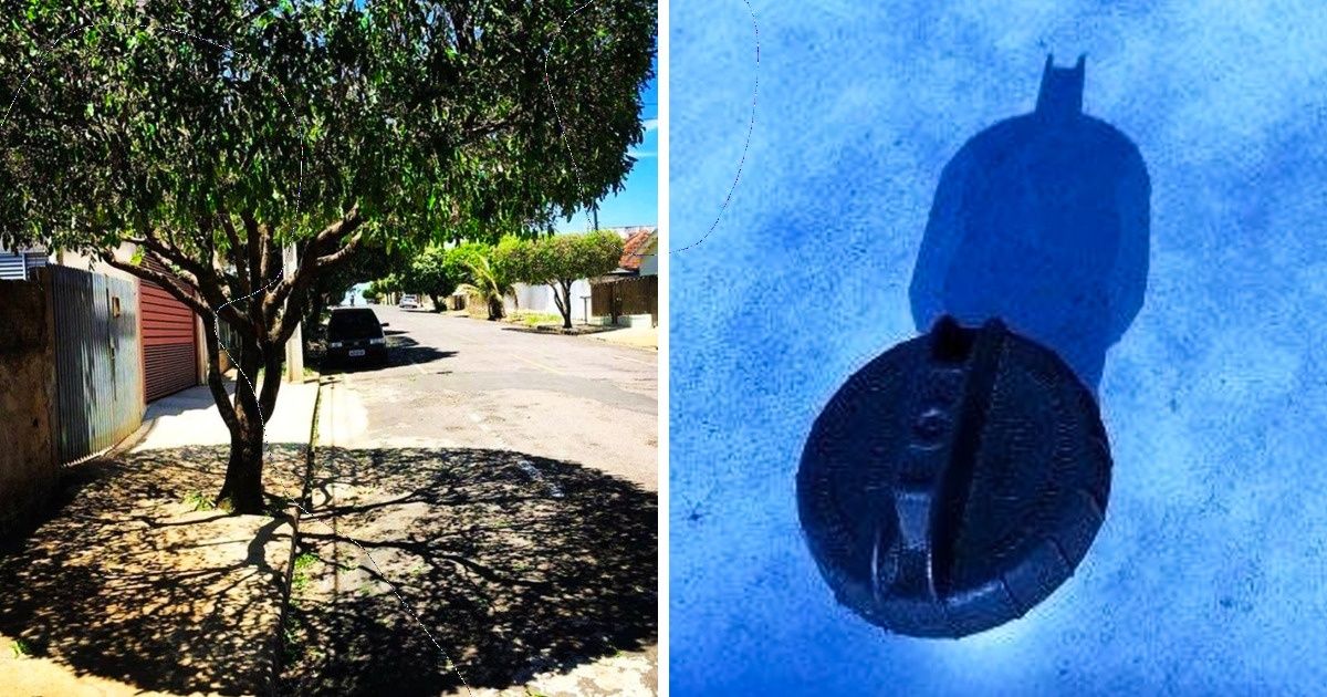 25 Imágenes que muestran cómo las sombras convirtieron situaciones normales en obras de arte
