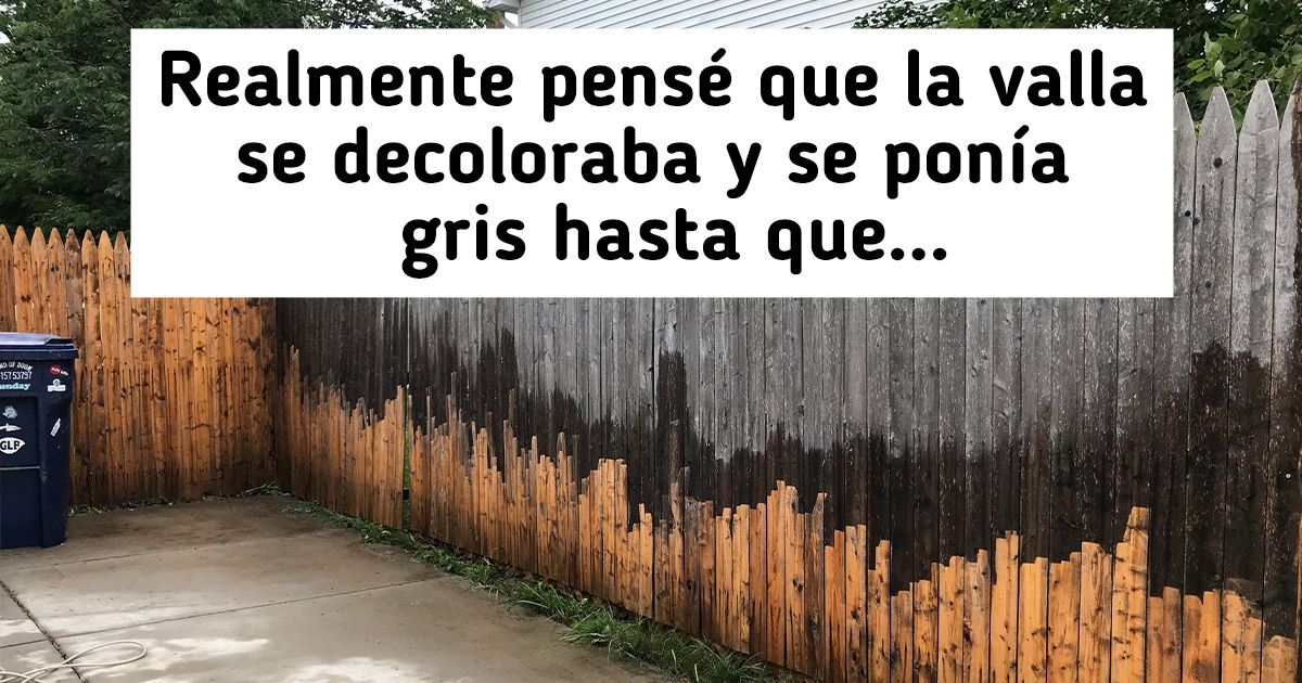 20 Veces en que las personas no pudieron creer en lo que vieron sus ojos después de realizar una limpieza profunda