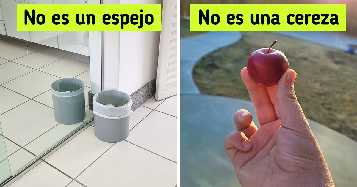 15 Veces en que la gente encontró algo que hizo que su cerebro se torciera un poco