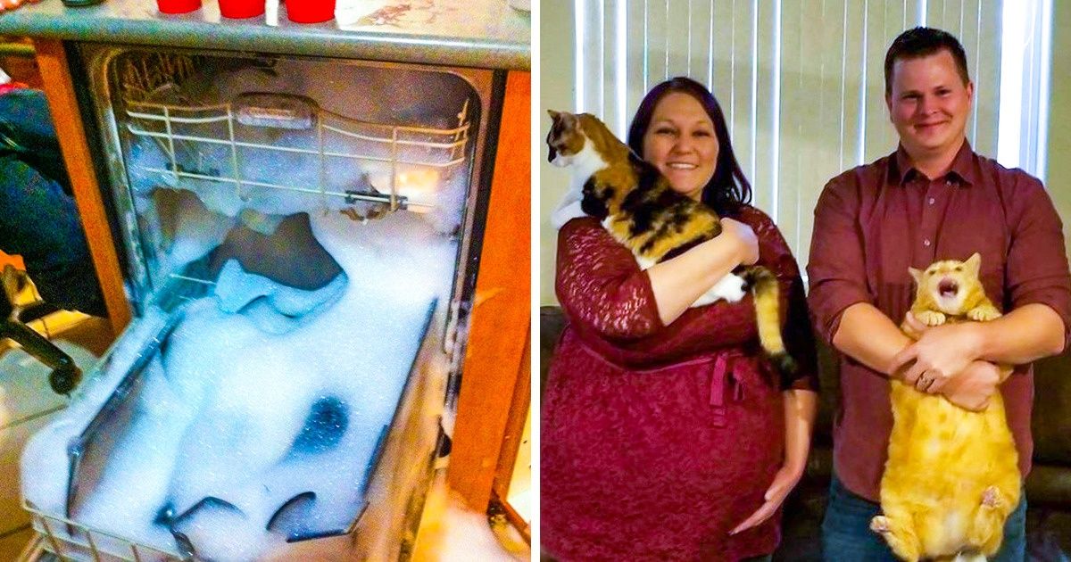 Imágenes que muestran a personas que no deberían haber salido de la cama ese día Imágenes que muestran a personas que no deberían haber salido de la cama ese día