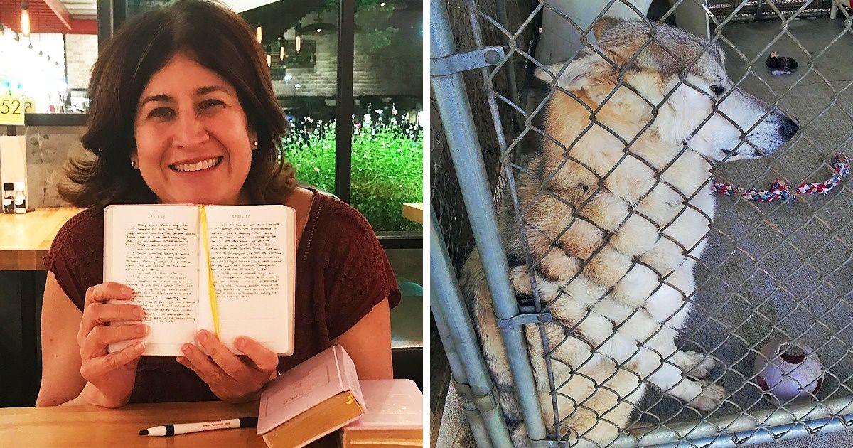 18 Fotos con un significado único y conmovedor