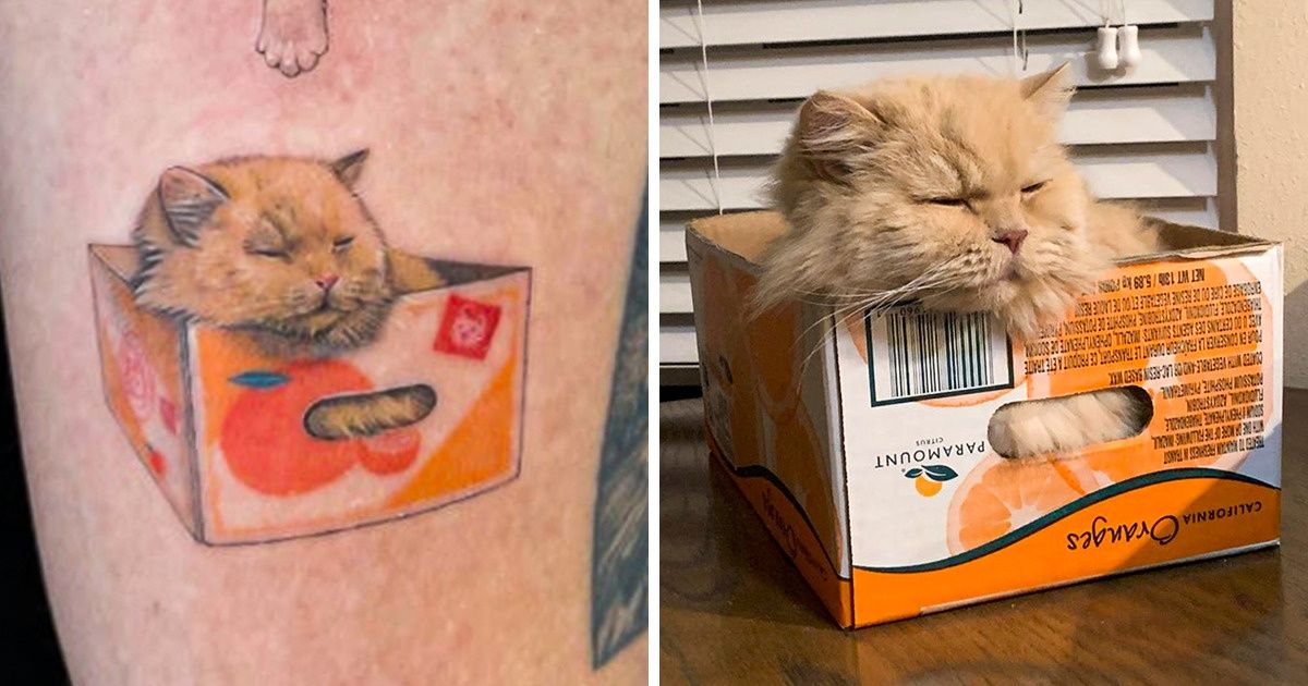 31 Personas querían tener a sus adorables mascotas con ellas todo el tiempo, por lo que decidieron tatuárselas 31 Personas querían tener a sus adorables mascotas con ellas todo el tiempo, por lo que decidieron tatuárselas