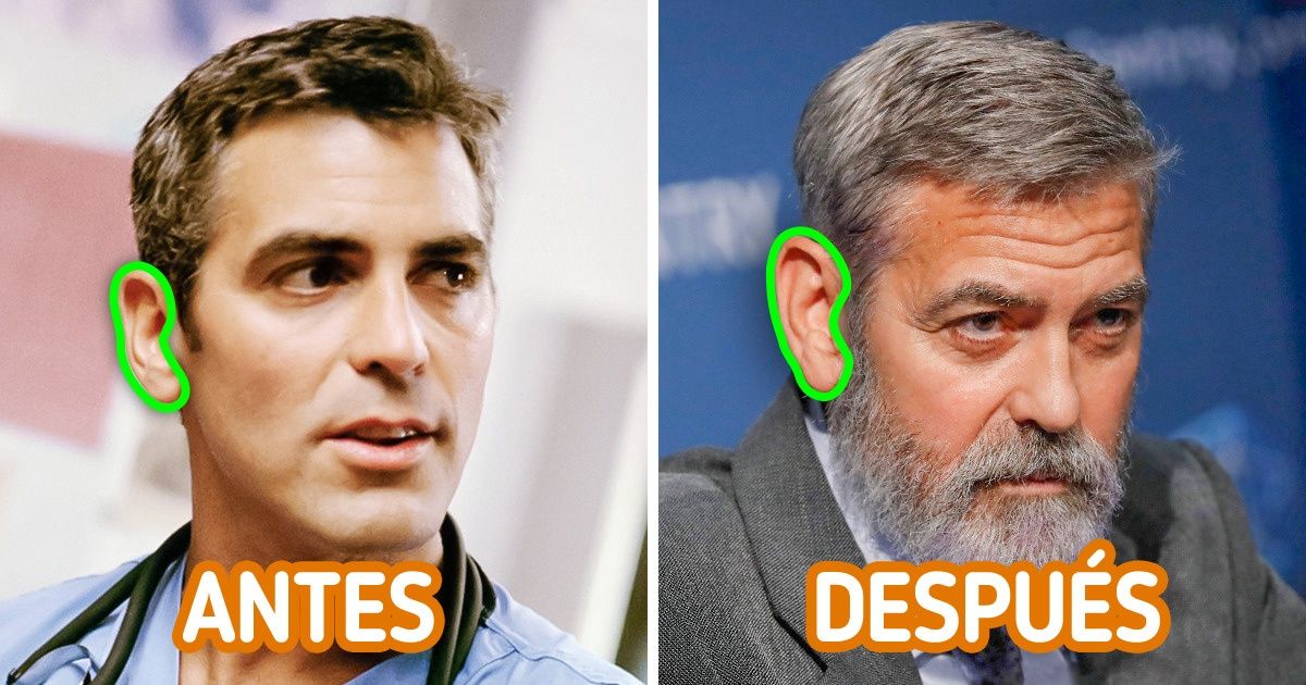 19 Datos esenciales que pueden ser útiles en la vida diaria