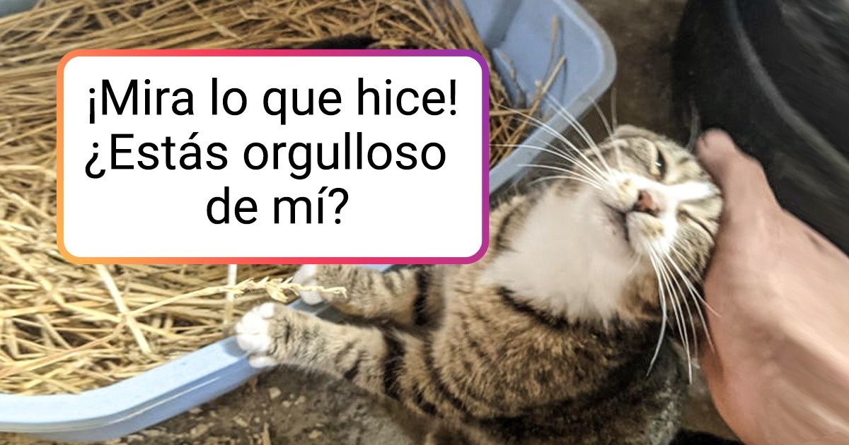 16 Fotos de mamás animales con sus crías llenas de inmenso amor