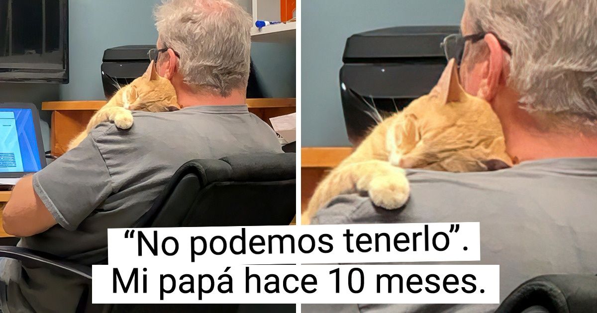 20+ Personas que dijeron que nunca tendrían una mascota en su casa 20+ Personas que dijeron que nunca tendrían una mascota en su casa