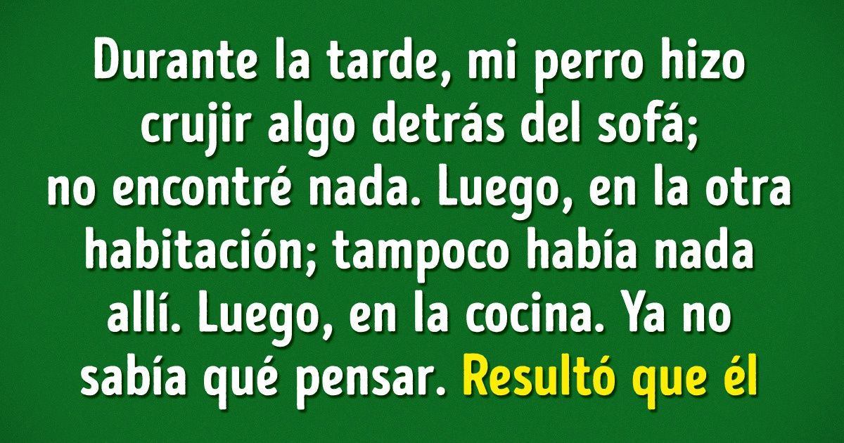 12 Fabulosas historias sobre lo imposible que es aburrirse con mascotas