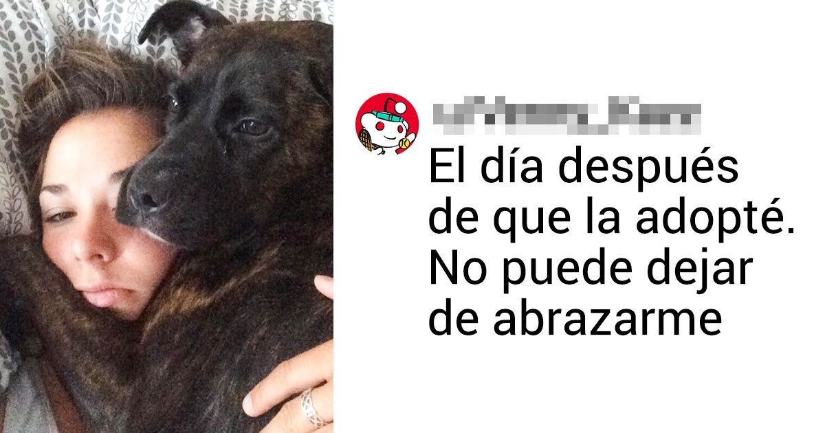 20 Usuarios compartieron fotos e historias de sus mascotas adoptadas, y creemos que son adorables 20 Usuarios compartieron fotos e historias de sus mascotas adoptadas, y creemos que son adorables