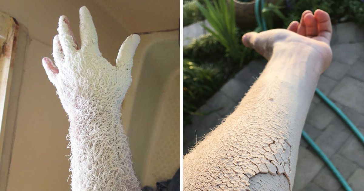 19 Fotos que no necesitan Photoshop para llamar la atención