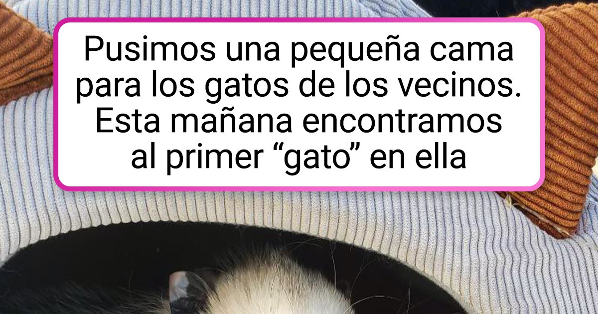 18 Animales que decidieron darles una sorpresa a estas personas al aparecer donde no los esperaban