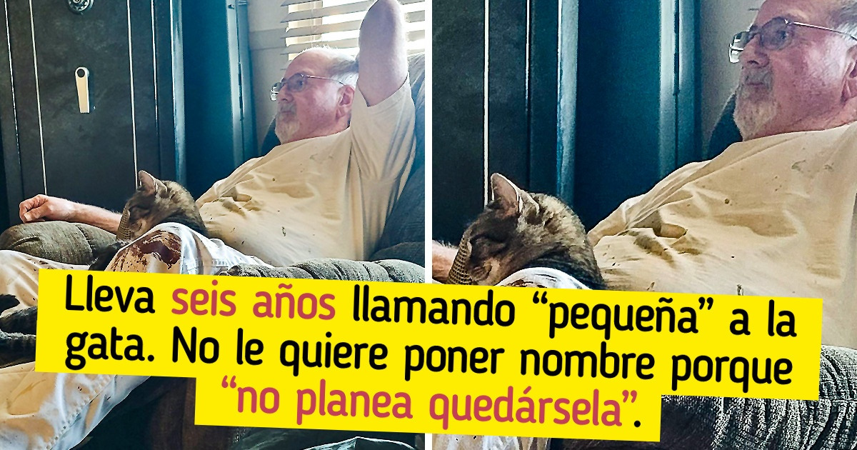 22 Mascotas que llegaron para quedarse, aunque al principio a sus dueños no les agradaba la idea