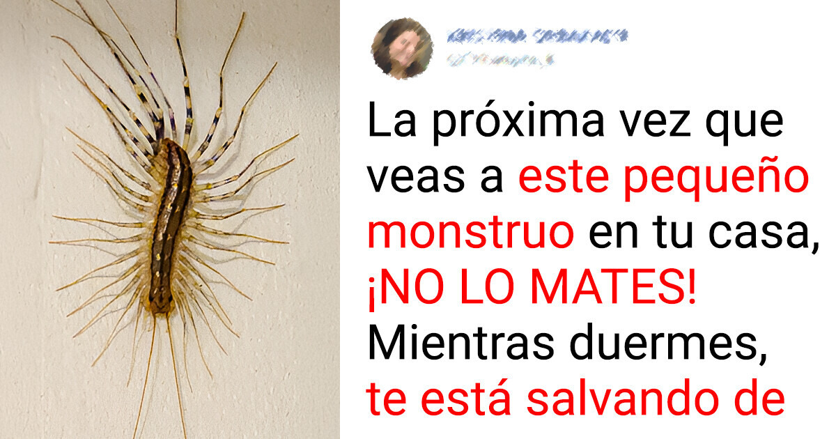 8 Animales que ayudan a preservar el planeta y nuestra especie 8 Animales que ayudan a preservar el planeta y nuestra especie