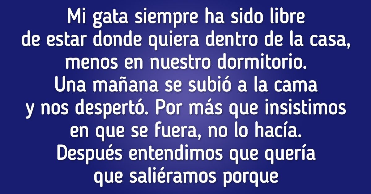 16 Historias de nuestros lectores que demuestran que a veces subestimamos la astucia y sabiduría de los gatos