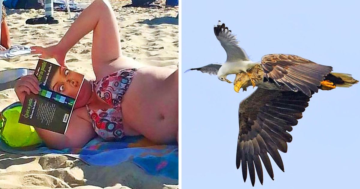 22 Fotos extrañas que te obligarán a mirar dos veces para poder entenderlas