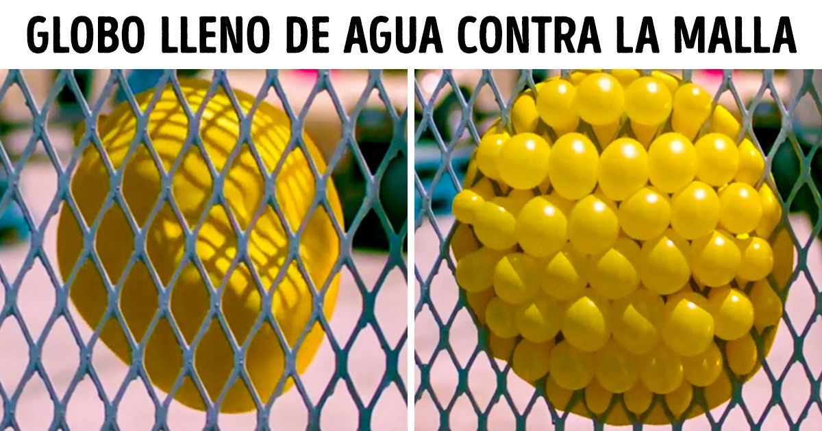 19 Curiosidades que serán una completa sorpresa para mucha gente