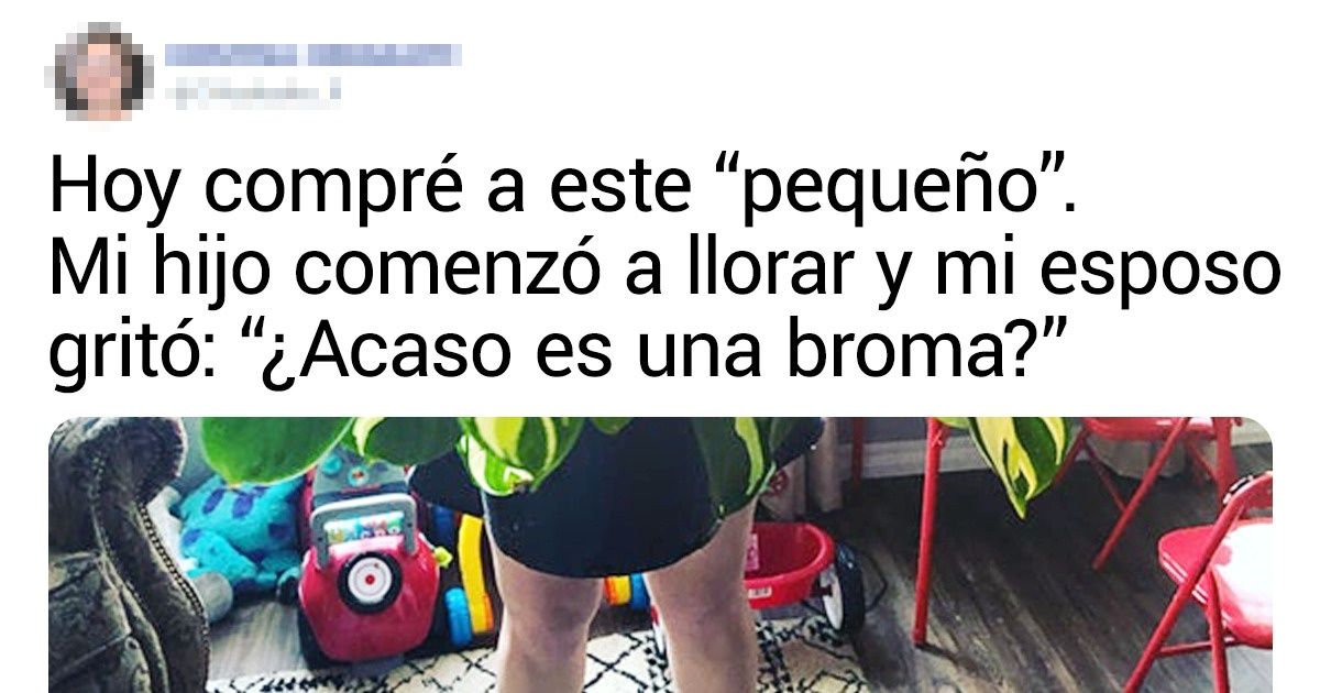 20+ Personas que una vez trajeron una planta a casa y ya no pudieron detenerse 20+ Personas que una vez trajeron una planta a casa y ya no pudieron detenerse