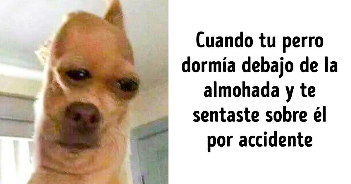 16 Tétricos chistes de personas cuyo sentido del humor es más oscuro que la noche misma