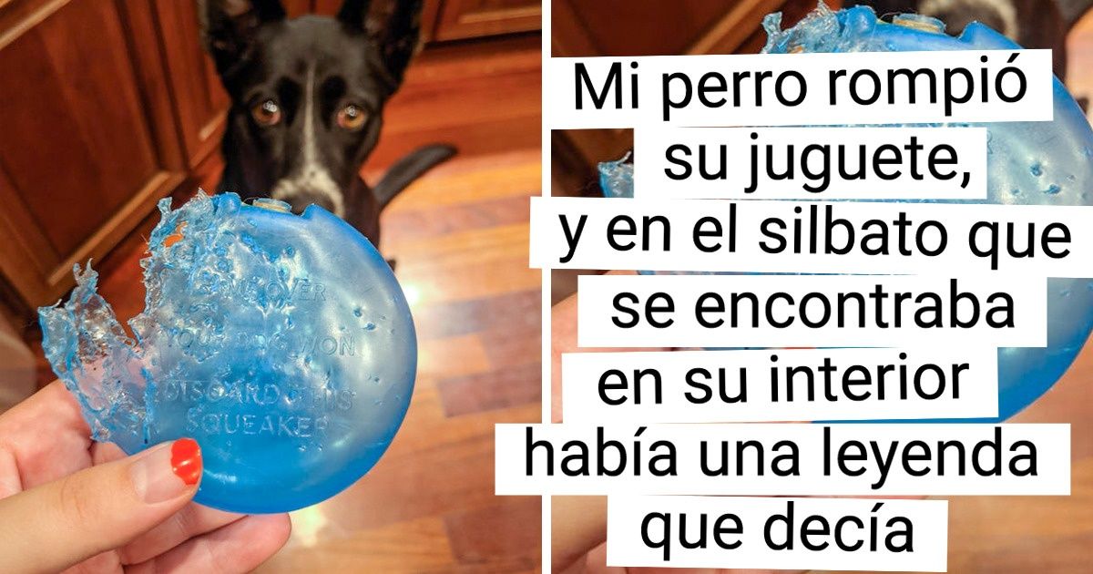 16 Fotos cuya ironía incluso se puede percibir a través de la pantalla 16 Fotos cuya ironía incluso se puede percibir a través de la pantalla