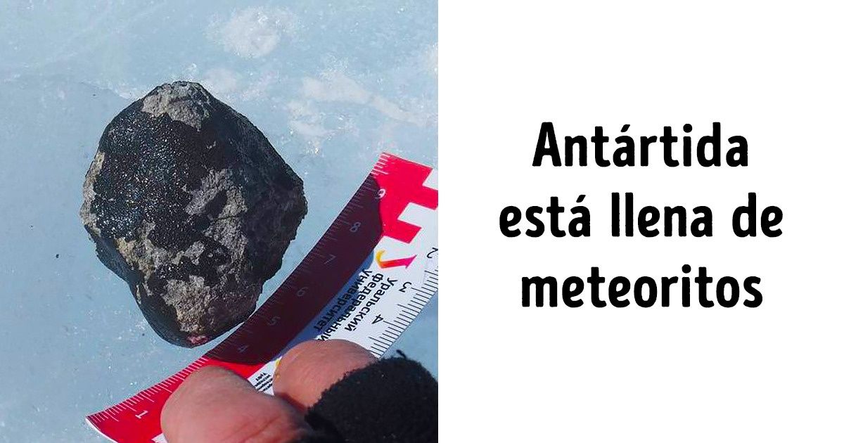 7 Hechos sobre la Antártida que preocupan incluso a aquellos que todo les da igual