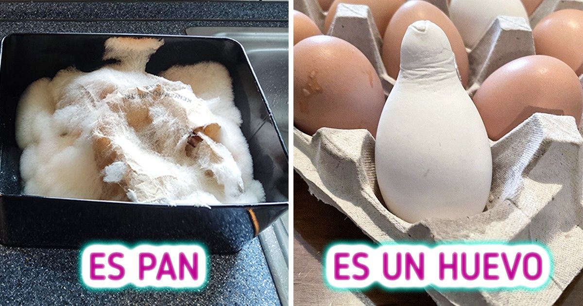 25+ Pruebas de que el tiempo y la naturaleza tienen sus propios efectos especiales 25+ Pruebas de que el tiempo y la naturaleza tienen sus propios efectos especiales