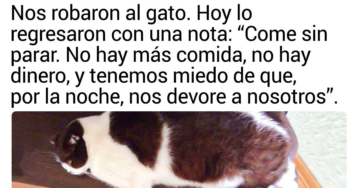 18 Mascotas cuyo temperamento solo puede ser controlado por sus dueños 18 Mascotas cuyo temperamento solo puede ser controlado por sus dueños