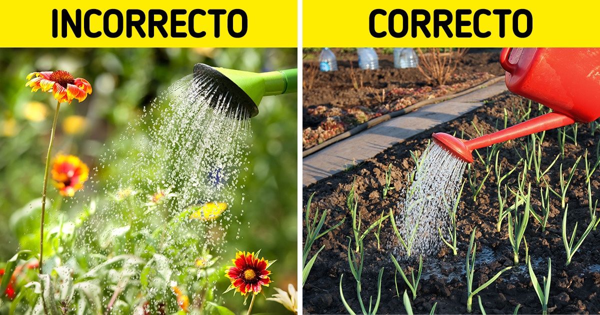 15 Errores habituales de jardinería que solemos cometer y cómo solucionarlos 15 Errores habituales de jardinería que solemos cometer y cómo solucionarlos