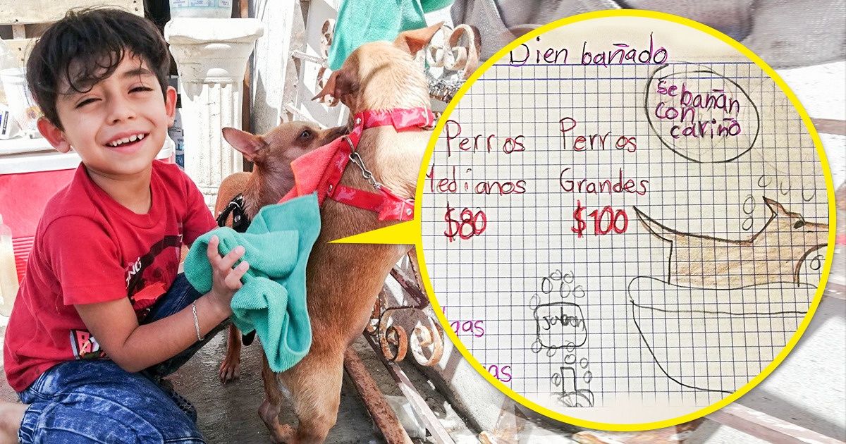 Pequeño mexicano de 7 años abrió su propio negocio con el eslogan “Se bañan perros con cariño” Pequeño mexicano de 7 años abrió su propio negocio con el eslogan “Se bañan perros con cariño”