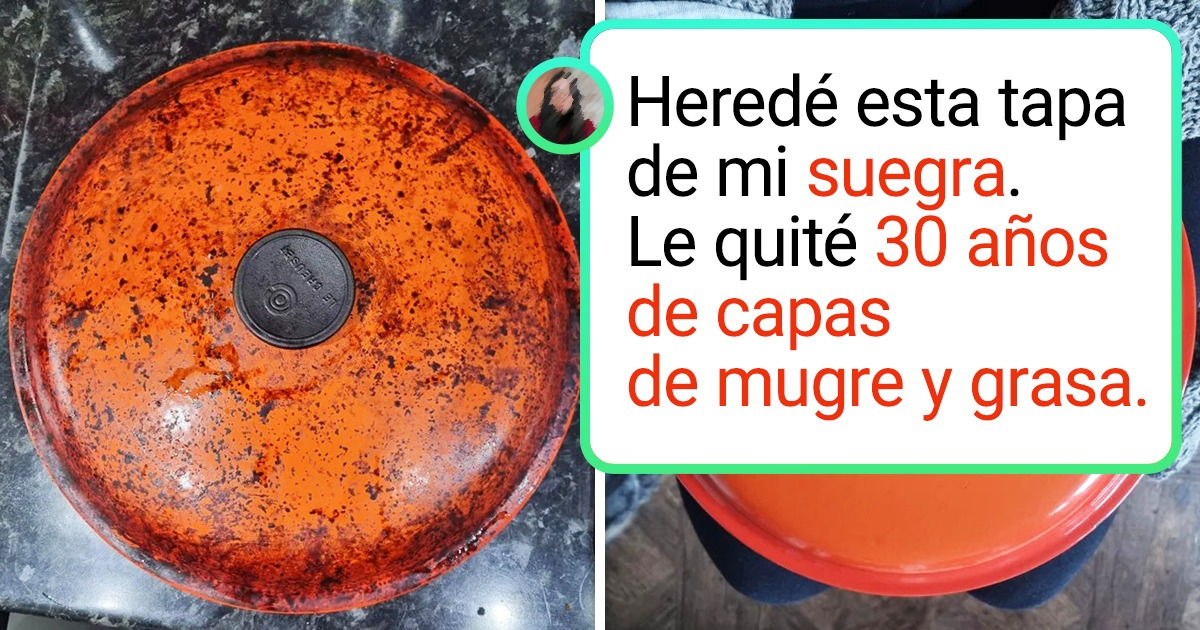 20 Personas que pusieron las manos a la obra y limpiaron lo que a otros les daba miedo siquiera tocar