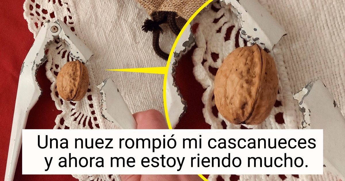19 Personas que descubrieron que la ironía siempre encuentra el momento oportuno 19 Personas que descubrieron que la ironía siempre encuentra el momento oportuno