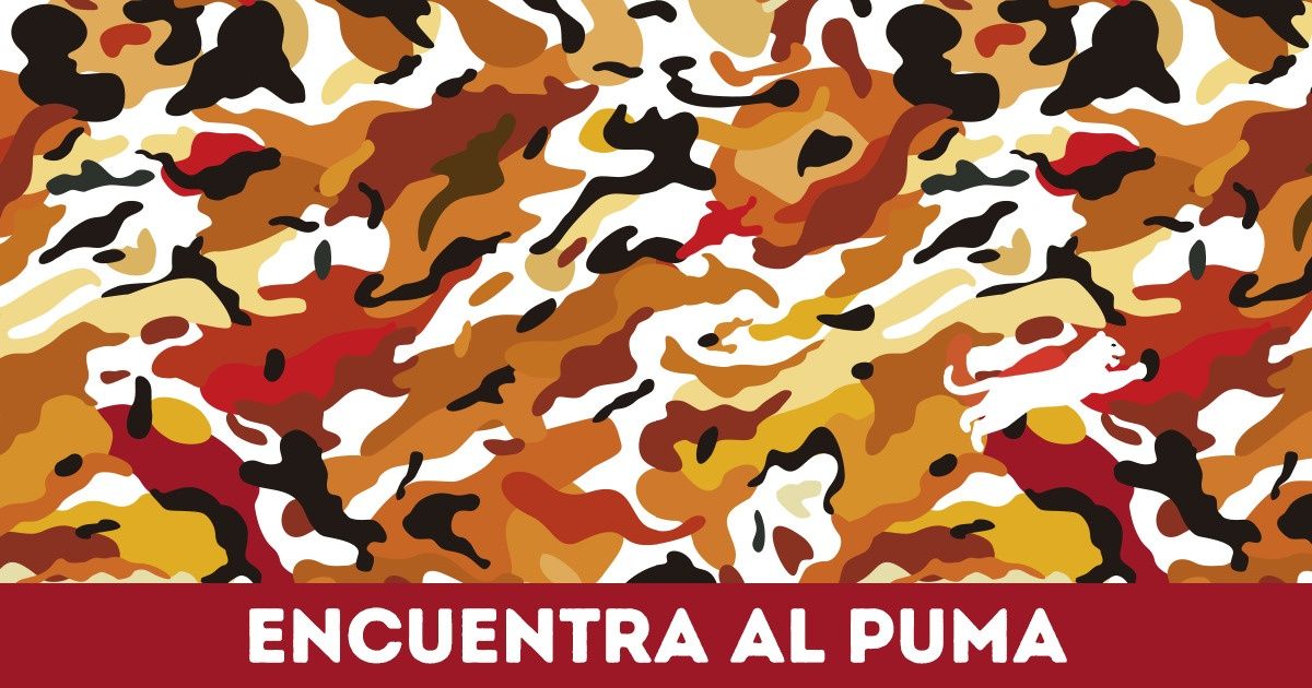Test: Busca a los animales camuflados en las tramas y descubre si eres buen observador