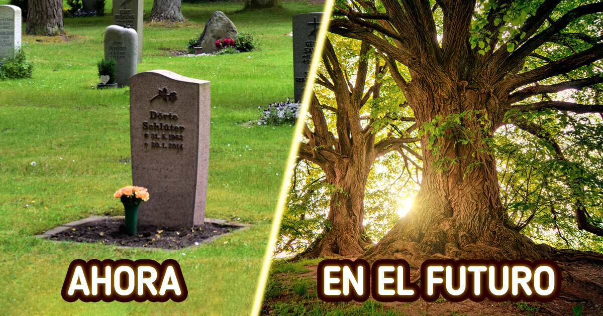 10 Aspectos que en el futuro serán muy distintos a cómo vivimos hoy 10 Aspectos que en el futuro serán muy distintos a cómo vivimos hoy