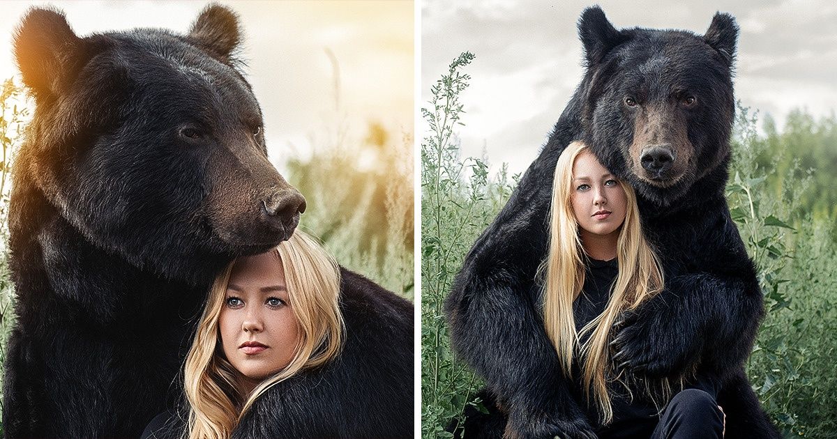 Una joven rusa y un gran oso pardo demuestran que la amistad entre animales y humanos es totalmente posible Una joven rusa y un gran oso pardo demuestran que la amistad entre animales y humanos es totalmente posible