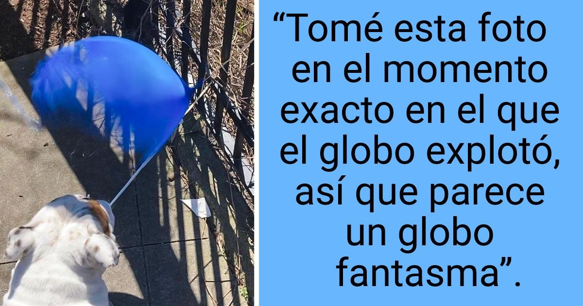 23 Suertudos que lograron capturar el momento exacto
