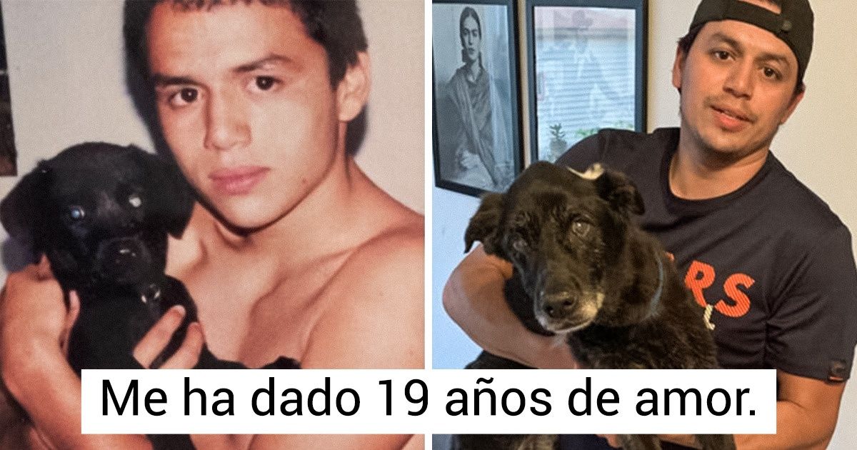 15+ Fotos de mascotas mayores que demuestran que el paso del tiempo solo fortalece el amor 15+ Fotos de mascotas mayores que demuestran que el paso del tiempo solo fortalece el amor