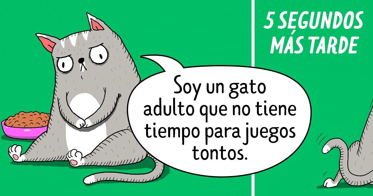 14 Cómics que demuestran que los gatos son las criaturas más contradictorias del planeta 14 Cómics que demuestran que los gatos son las criaturas más contradictorias del planeta