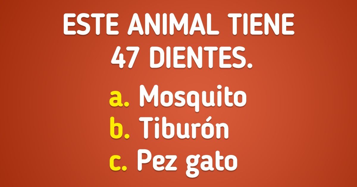 Test: Descubre a qué especie pertenece cada uno de estos datos curiosos Test: Descubre a qué especie pertenece cada uno de estos datos curiosos