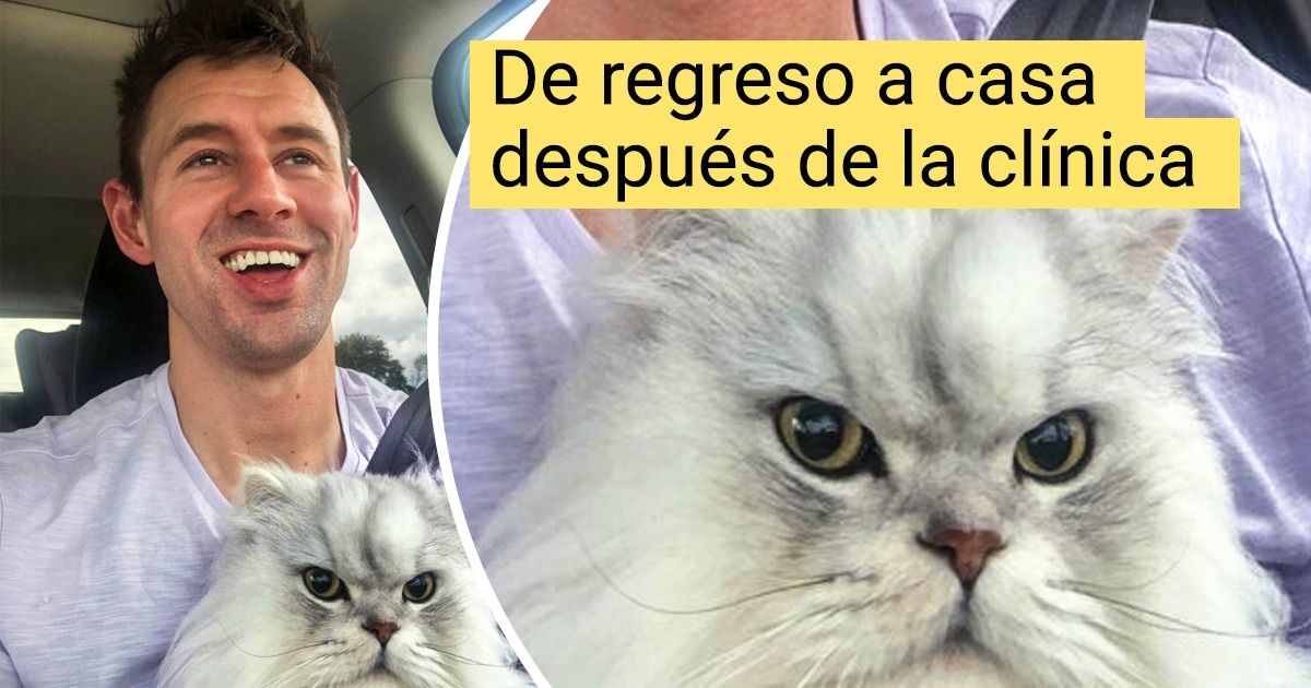20+ Visitas al veterinario que las personas (y las mascotas) recordarán durante toda su vida 20+ Visitas al veterinario que las personas (y las mascotas) recordarán durante toda su vida