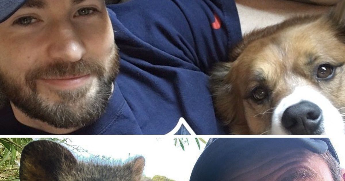 15 Famosos del mundo Marvel nos muestran el amor por sus mascotas y por otros animales 15 Famosos del mundo Marvel nos muestran el amor por sus mascotas y por otros animales