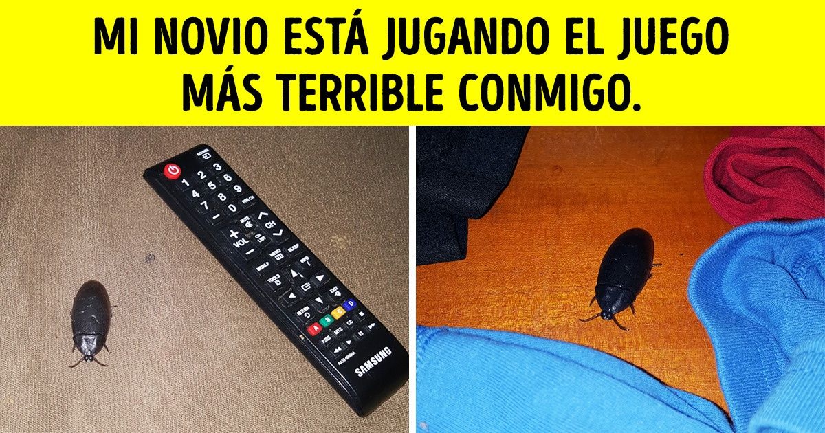 20+ Novios que son exactamente lo opuesto a un príncipe en un caballo blanco