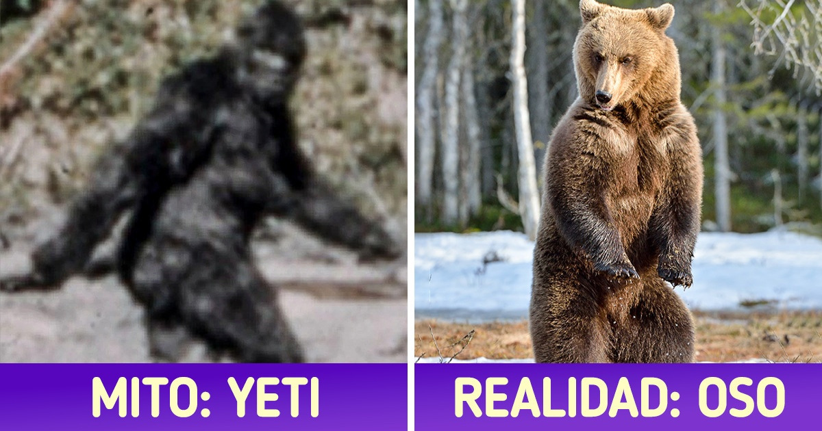 10 Criaturas mitológicas que nacieron de especies de la vida real