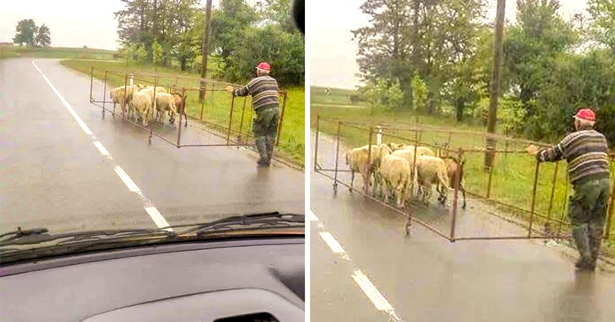 17 Hombres para los que no existe una misión imposible